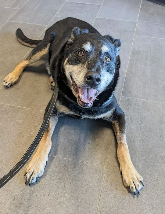Banfield Pet Hospital 12
