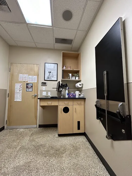 South Hill Veterinary Hospital 12