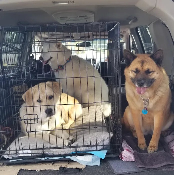 PetCare Clinic 12