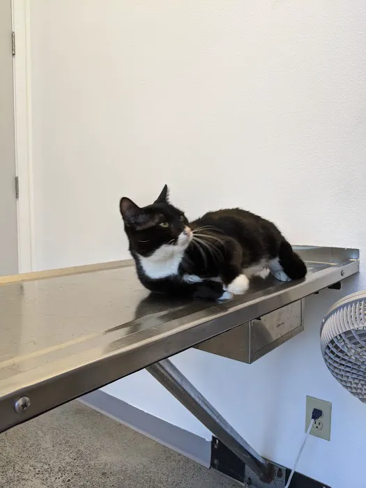 PetCare Clinic 12