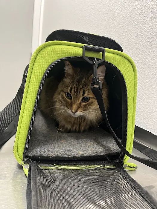 PetCare Clinic 12