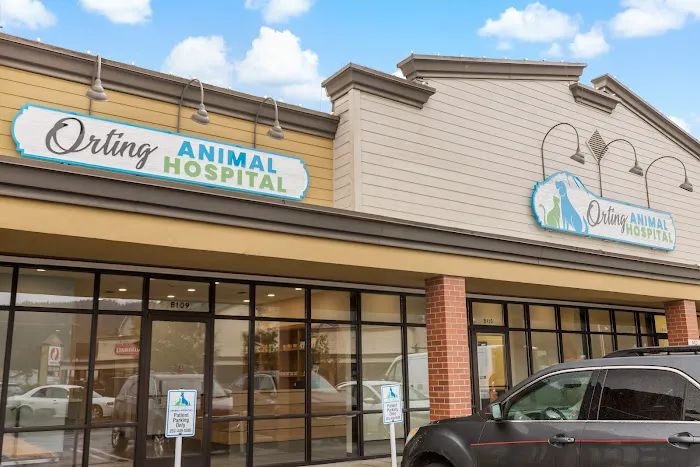 Orting Animal Hospital 12