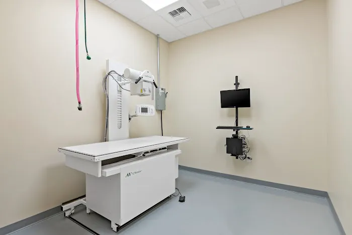 Orting Animal Hospital 12