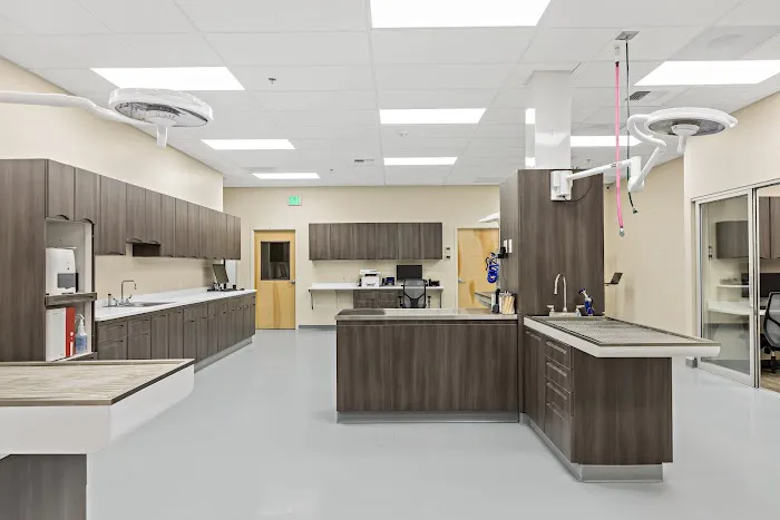 Orting Animal Hospital 12