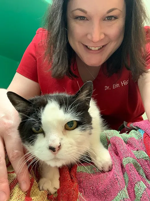 Whisker Wellness Center 12