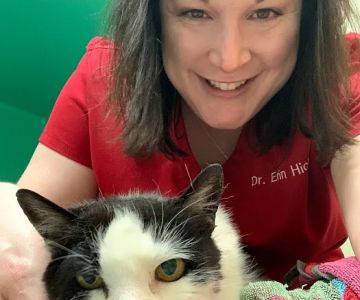 Whisker Wellness Center