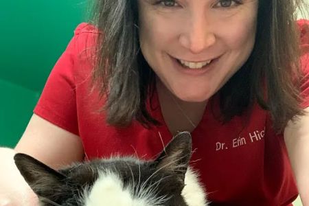 Whisker Wellness Center