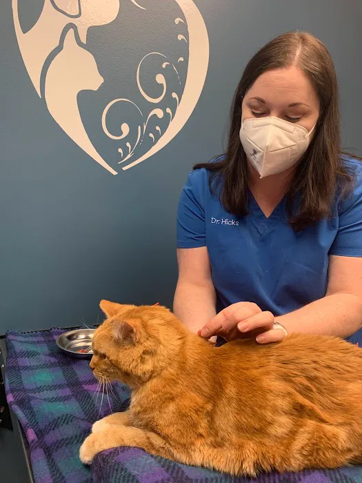 Whisker Wellness Center 12