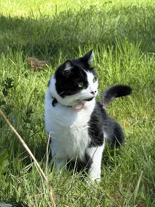 Whisker Wellness Center 12