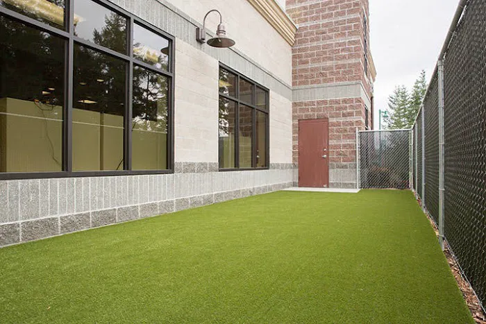 Uptown Animal Hospital & Urgent Care 12