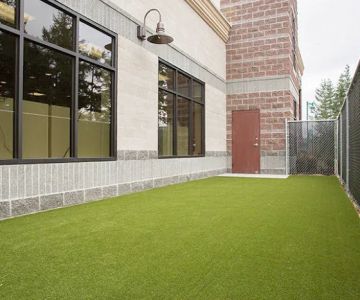 Uptown Animal Hospital & Urgent Care