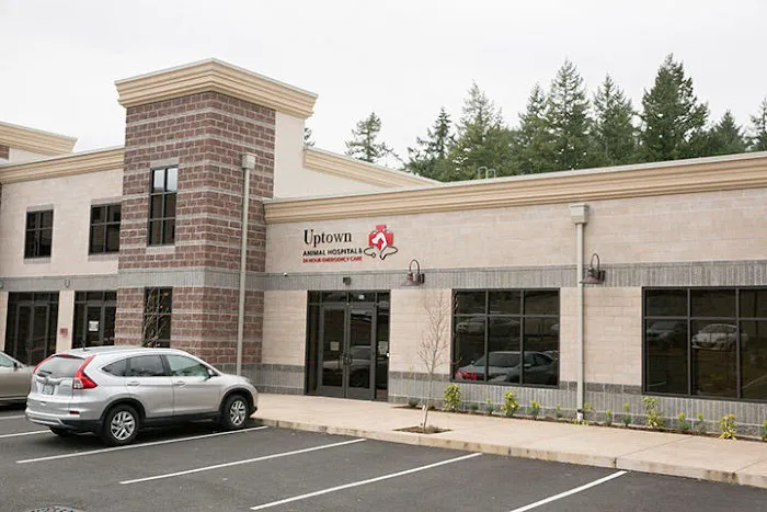 Uptown Animal Hospital & Urgent Care 12