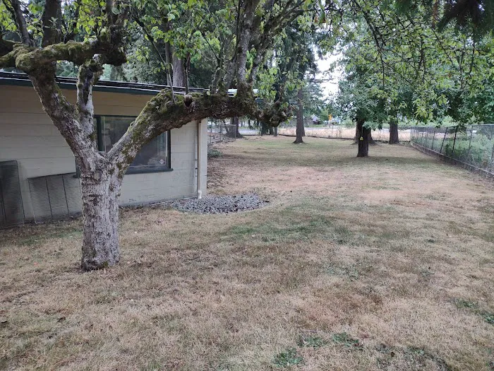 Gig Harbor Veterinary Hospital 12