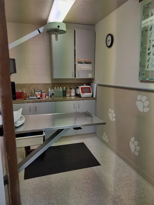 Gig Harbor Veterinary Hospital 12