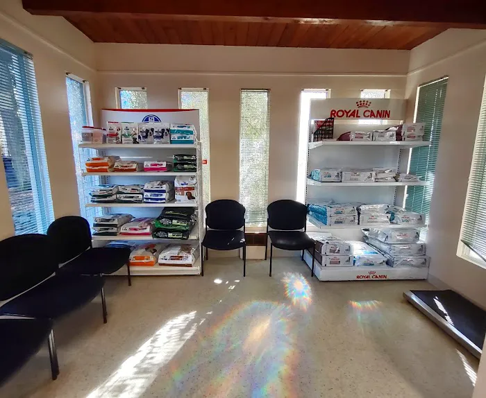Gig Harbor Veterinary Hospital 12