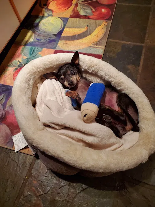 Gig Harbor Veterinary Hospital 12