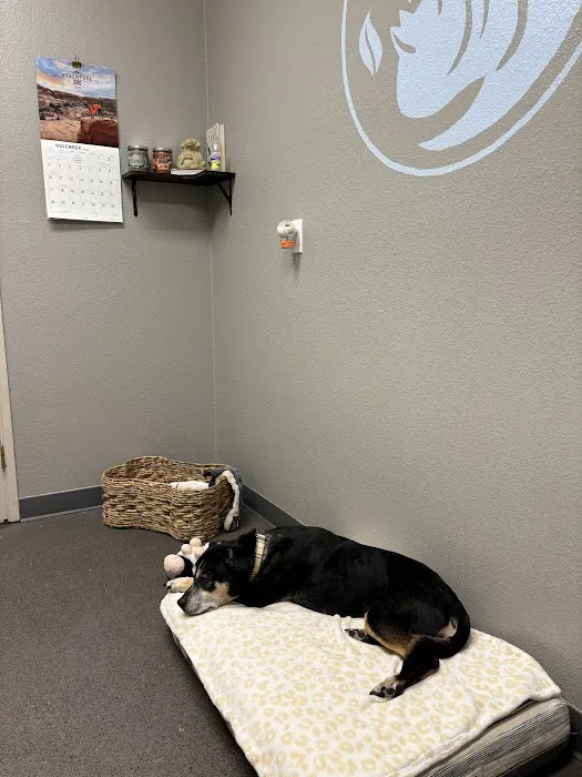PetZen Animal Wellness Center 12