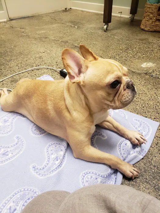 PetZen Animal Wellness Center 12
