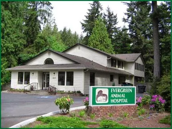 Evergreen Animal Hospital 12
