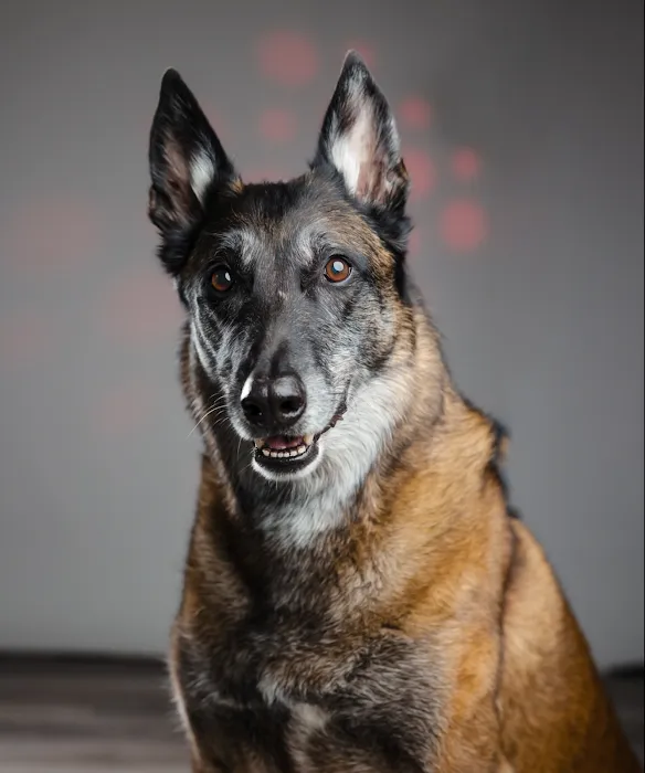 Evergreen Animal Hospital 12