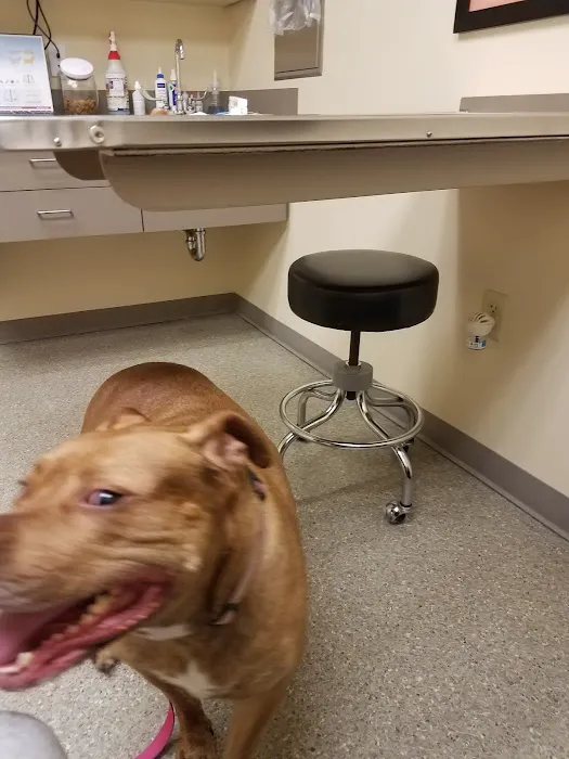 Chambers Creek Veterinary Hospital 12