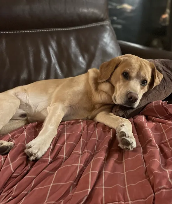 Chambers Creek Veterinary Hospital 12