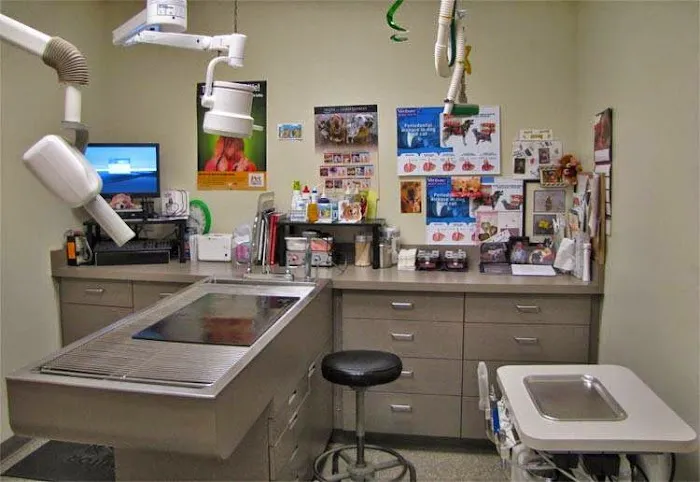 Chambers Creek Veterinary Hospital 12