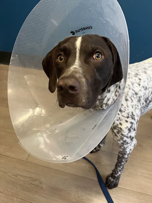Animal Hospital of Parkland 12