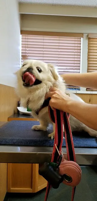 Pet Doctor 12