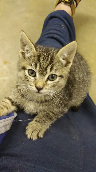 Banfield Pet Hospital 12