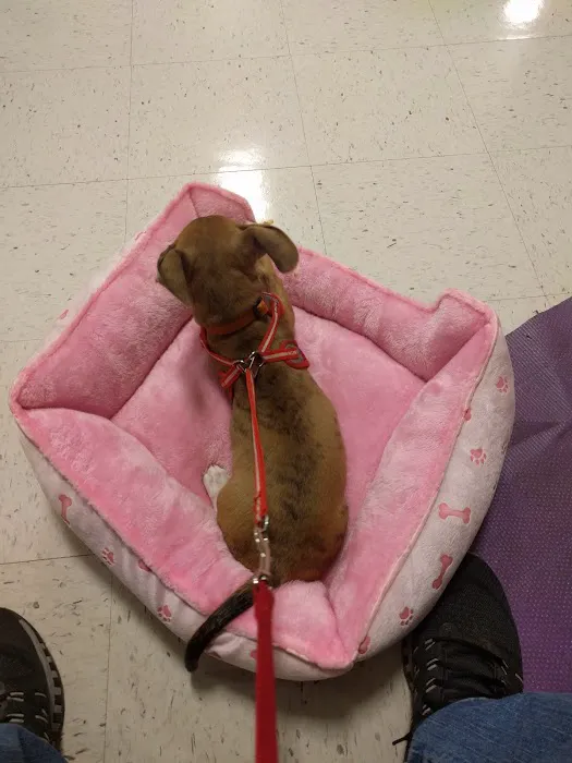Banfield Pet Hospital 12