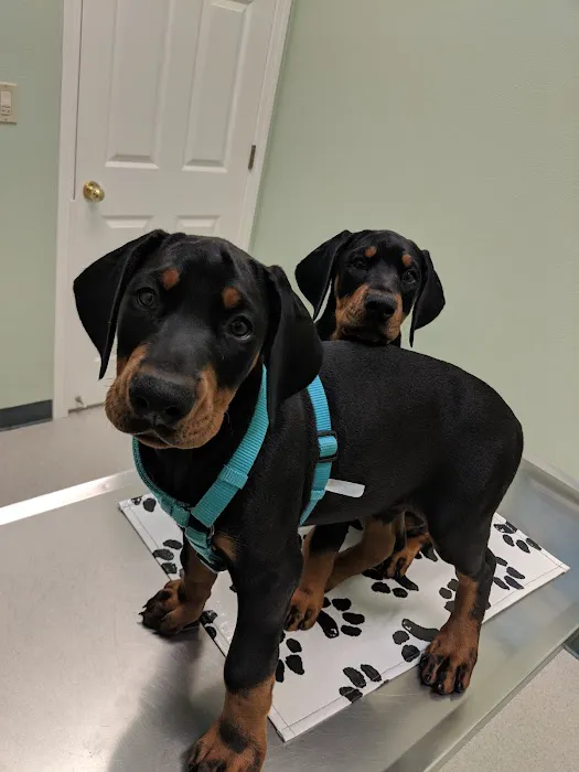 VCA Parkway Animal Hospital 12