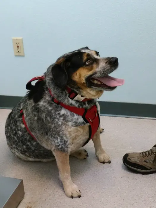 VCA Parkway Animal Hospital 12