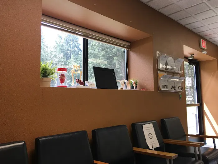 Veterinary Treatment Facility 12