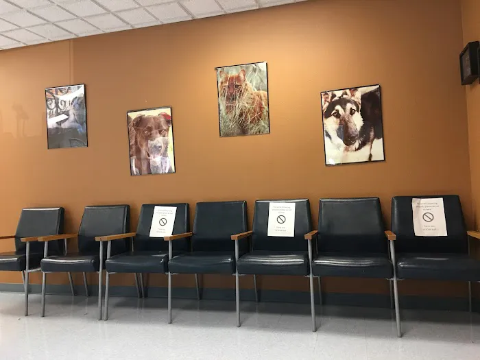 Veterinary Treatment Facility 12