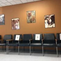 Veterinary Treatment Facility ico