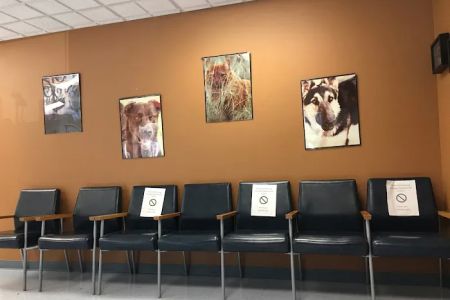Veterinary Treatment Facility