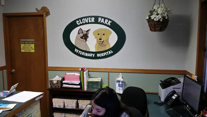 Clover Park Veterinary Hospital 12