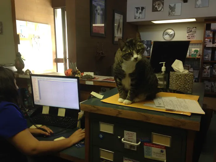 Clover Park Veterinary Hospital 12