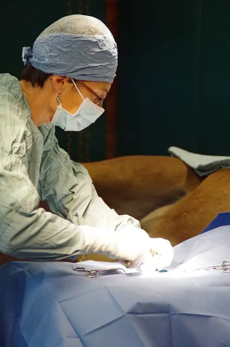 Tacoma Equine Hospital 12