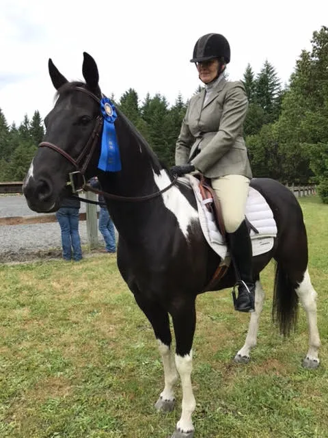 Tacoma Equine Hospital 12