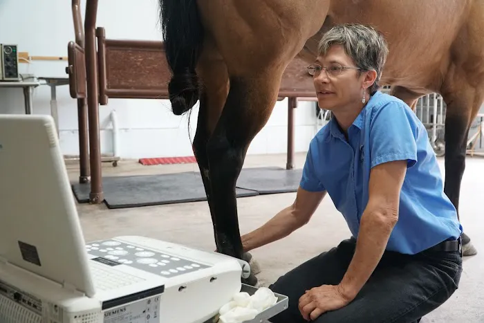 Tacoma Equine Hospital 12