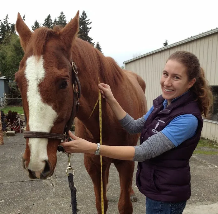 Tacoma Equine Hospital 12