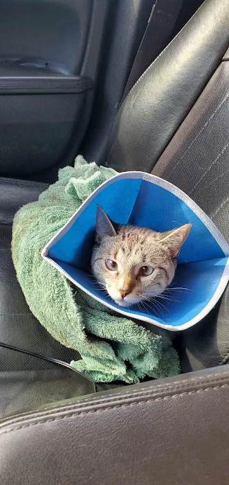 WHARTON VETERINARY CLINIC 12