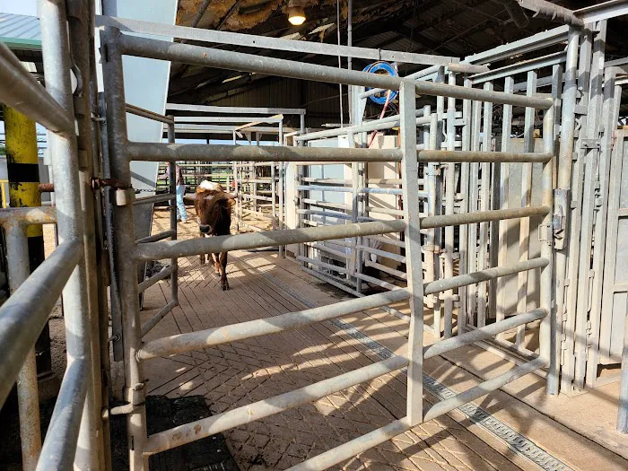 WHARTON VETERINARY CLINIC 12