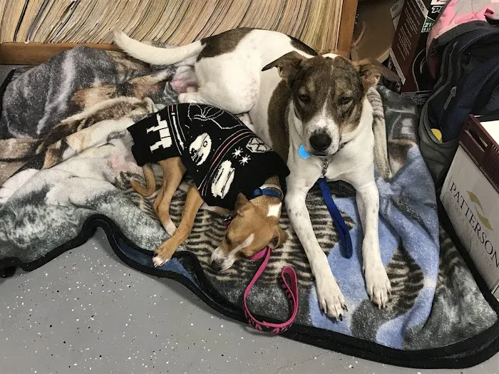 East Bernard Animal Hospital 12