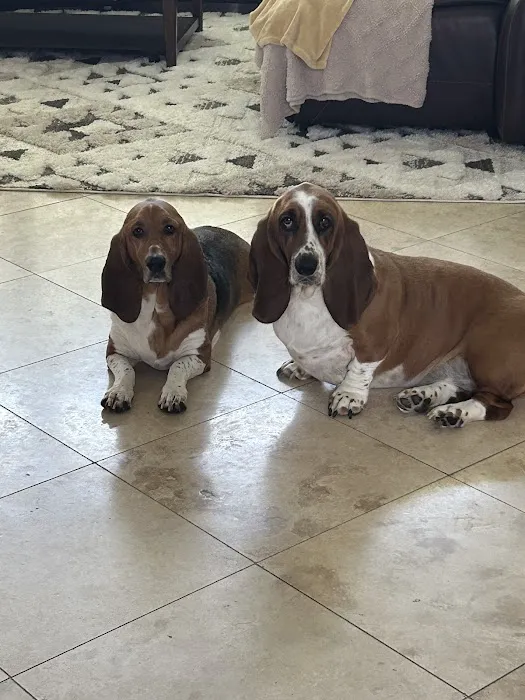 East Bernard Animal Hospital 12
