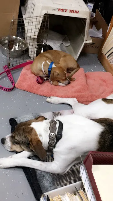 East Bernard Animal Hospital 12