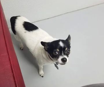 Coastal Plains Animal Clinic