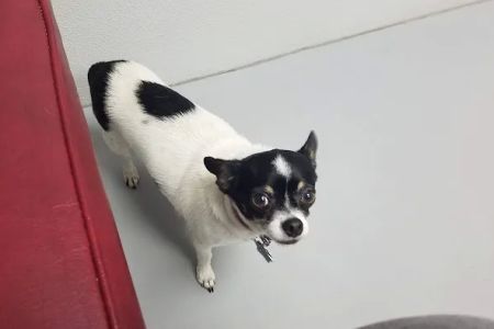 Coastal Plains Animal Clinic